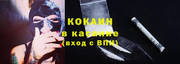 МДПВ Ельня