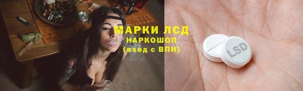 МДПВ Ельня
