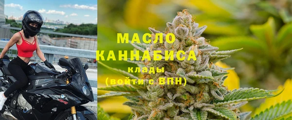МДПВ Ельня