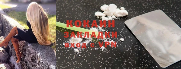 МДПВ Ельня