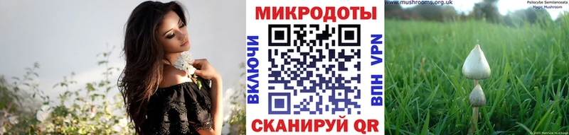 Псилоцибиновые грибы прущие грибы  Канск 