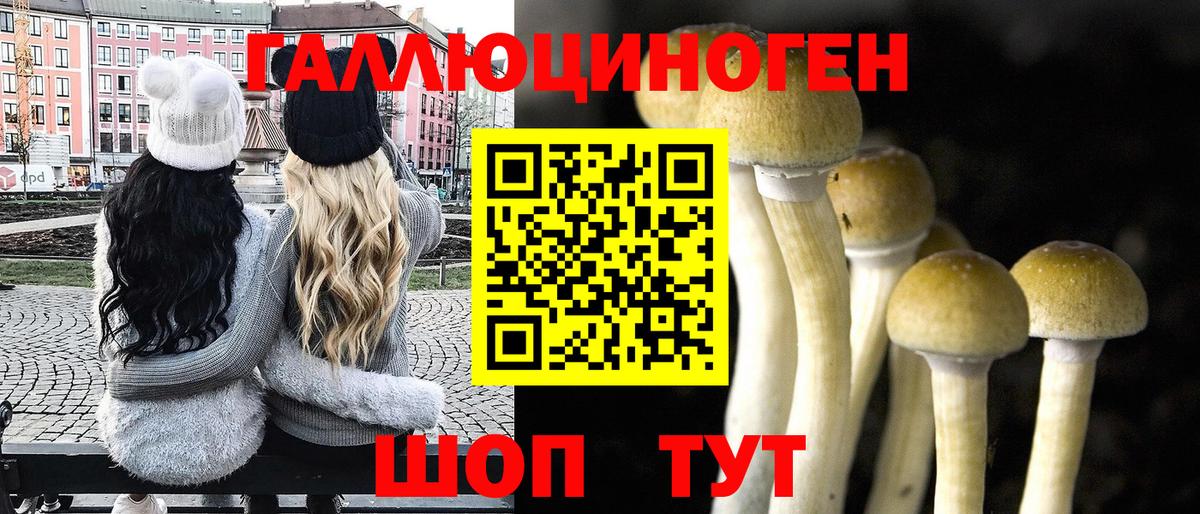 Галлюциногенные грибы GOLDEN TEACHER Канск