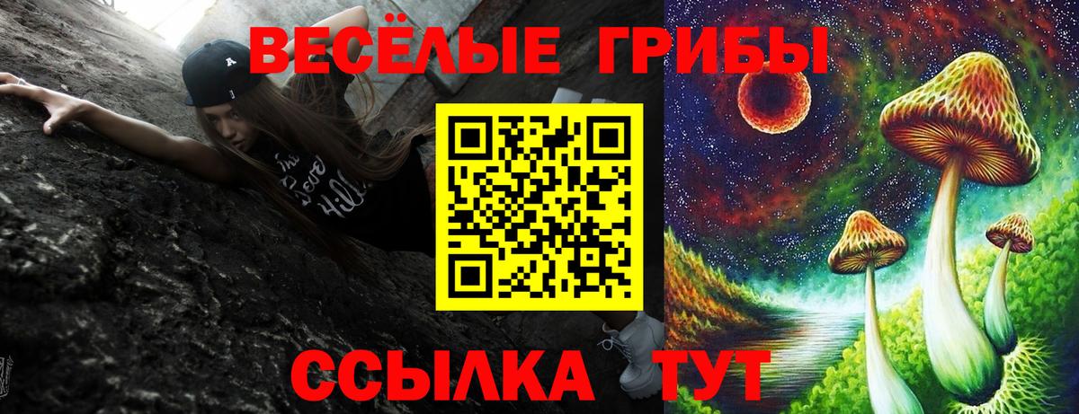 Галлюциногенные грибы Psilocybe  Вход с VPN  Канск  Псилоцибиновые грибы Cubensis 