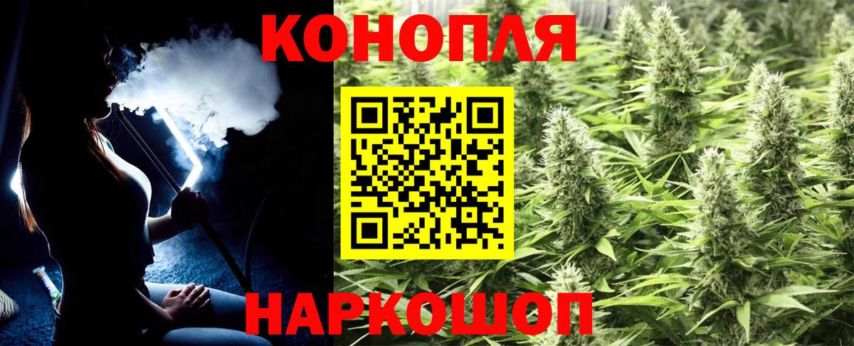 Канабис планчик  Бошки марихуана план  Канск  Каннабис Bruce Banner  Вход с VPN 